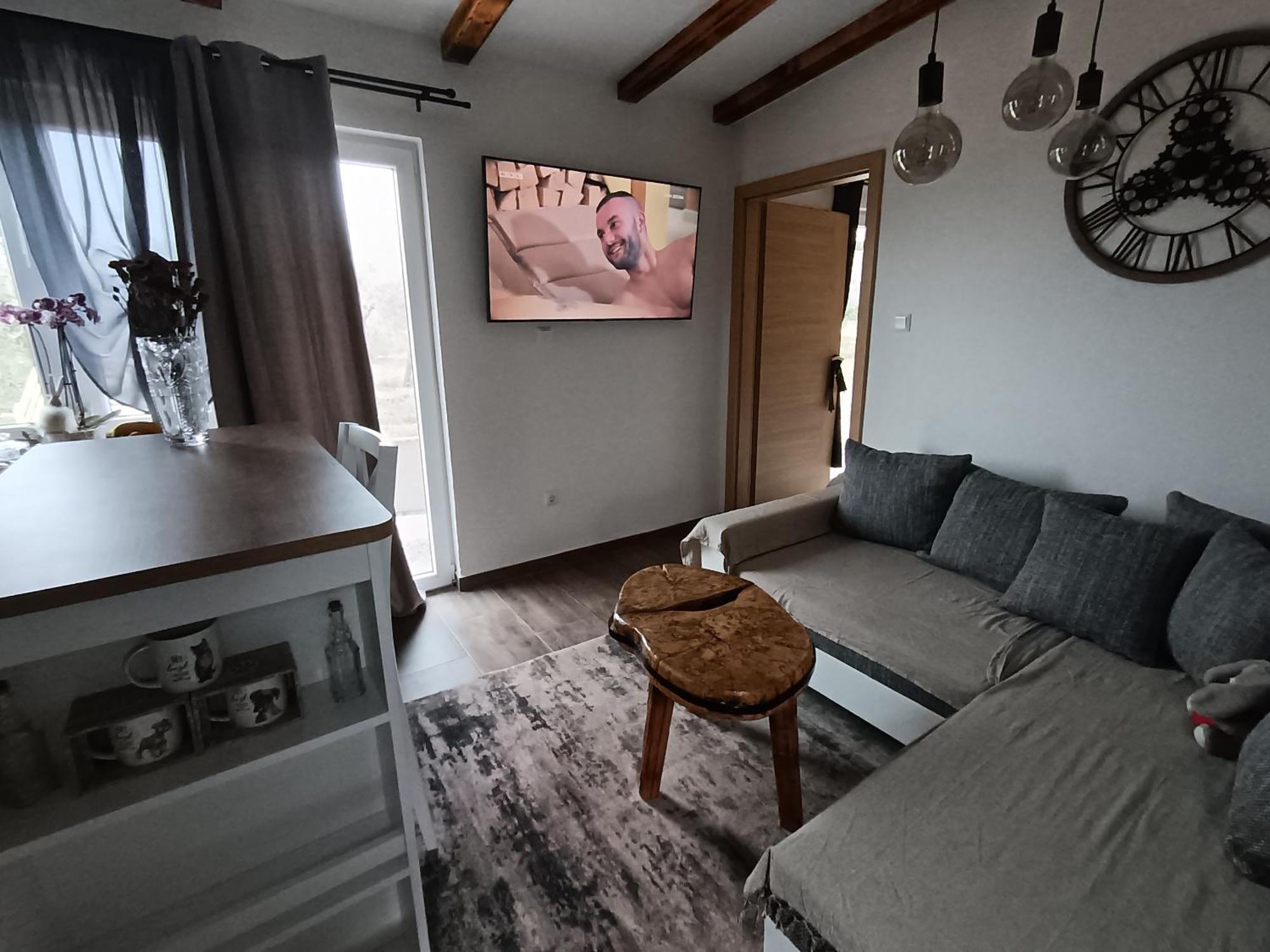 Cattleya Daire Novigrad Istria Dış mekan fotoğraf